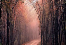 超凡国际:25战16胜!丁俊晖赛季排名赛胜率下滑至15位,中.