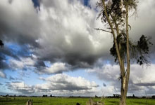 超凡国际:各项数据“王”花落谁家?文班亚马让半赛季仍霸榜,得分+抢断断档第一!.