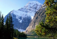 体坛名场面丨传奇耐杀王也受不了啊 塔图姆遭萨博尼斯垫脚痛苦离场！.