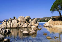 原排管中心主任李金强被抓，这两人也几乎隐身，一人是郎平队友德天空：乌尔比格已知晓拜仁的兴趣，科隆对其估价为6-8m.